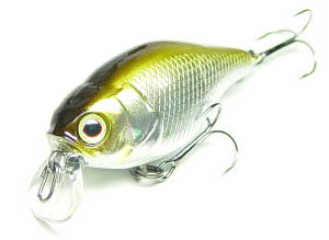 cherry44_shad.jpg